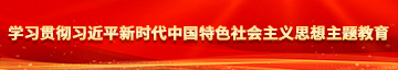 操白虎学习贯彻习近平新时代中国特色社会主义思想主题教育